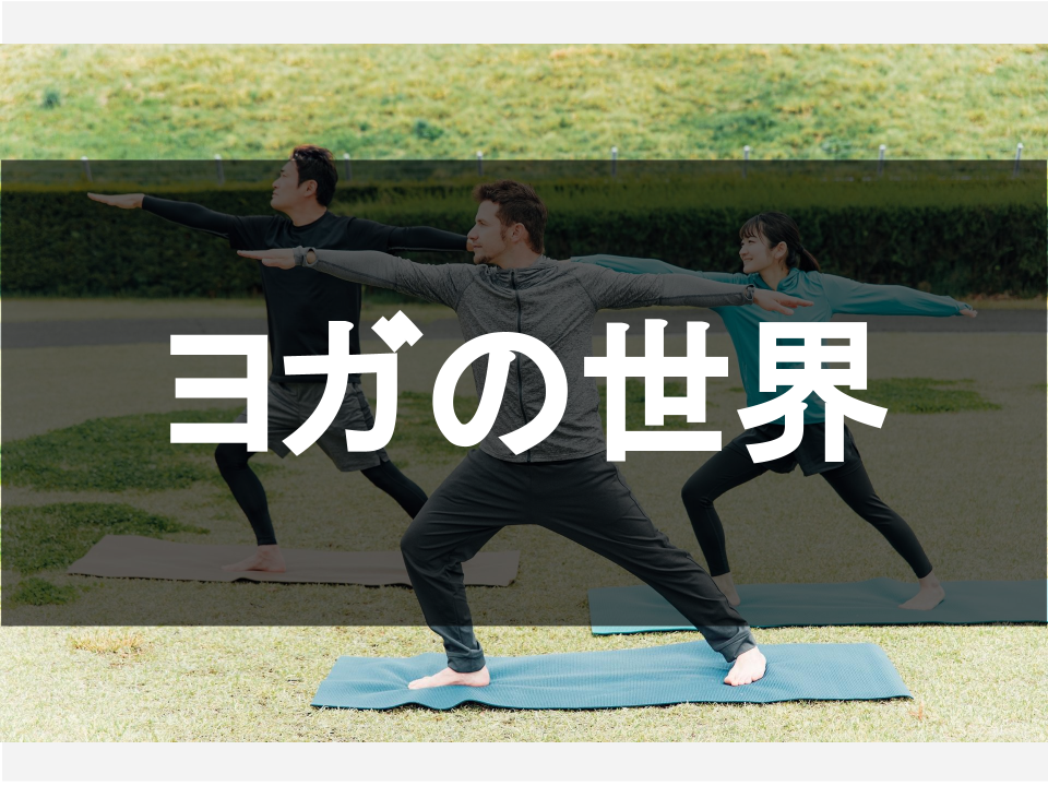 ヨガの世界